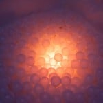 Sensory Room