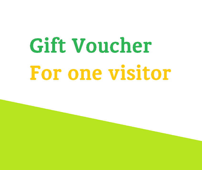 Gift Voucher for one visitor